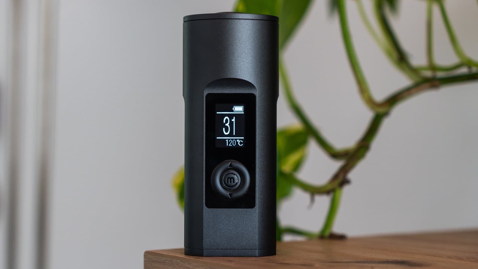 Schwarzer Vaporizer mit 31°C auf dem Display auf einem Regal neben grüner Zimmerpflanze