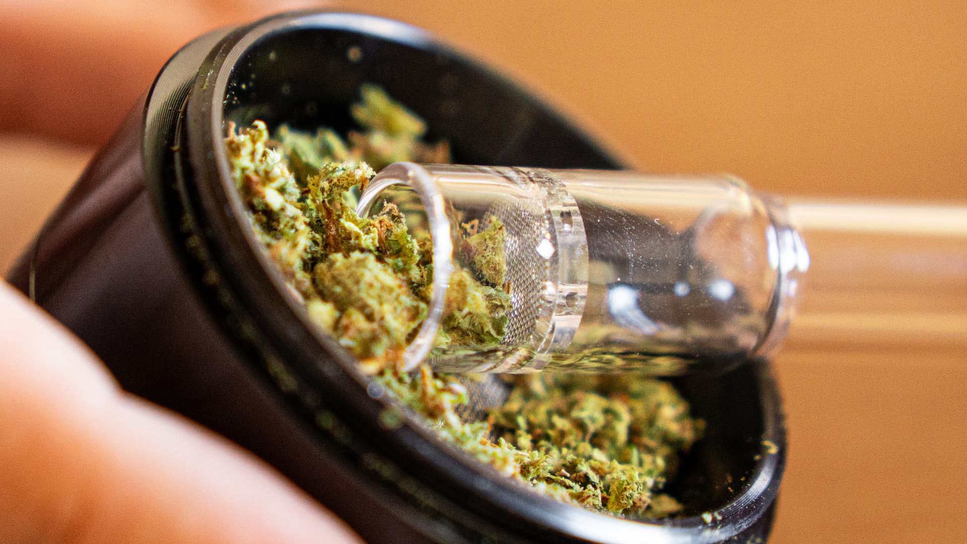 Glass stem scooping ground cannabis from an open grinder