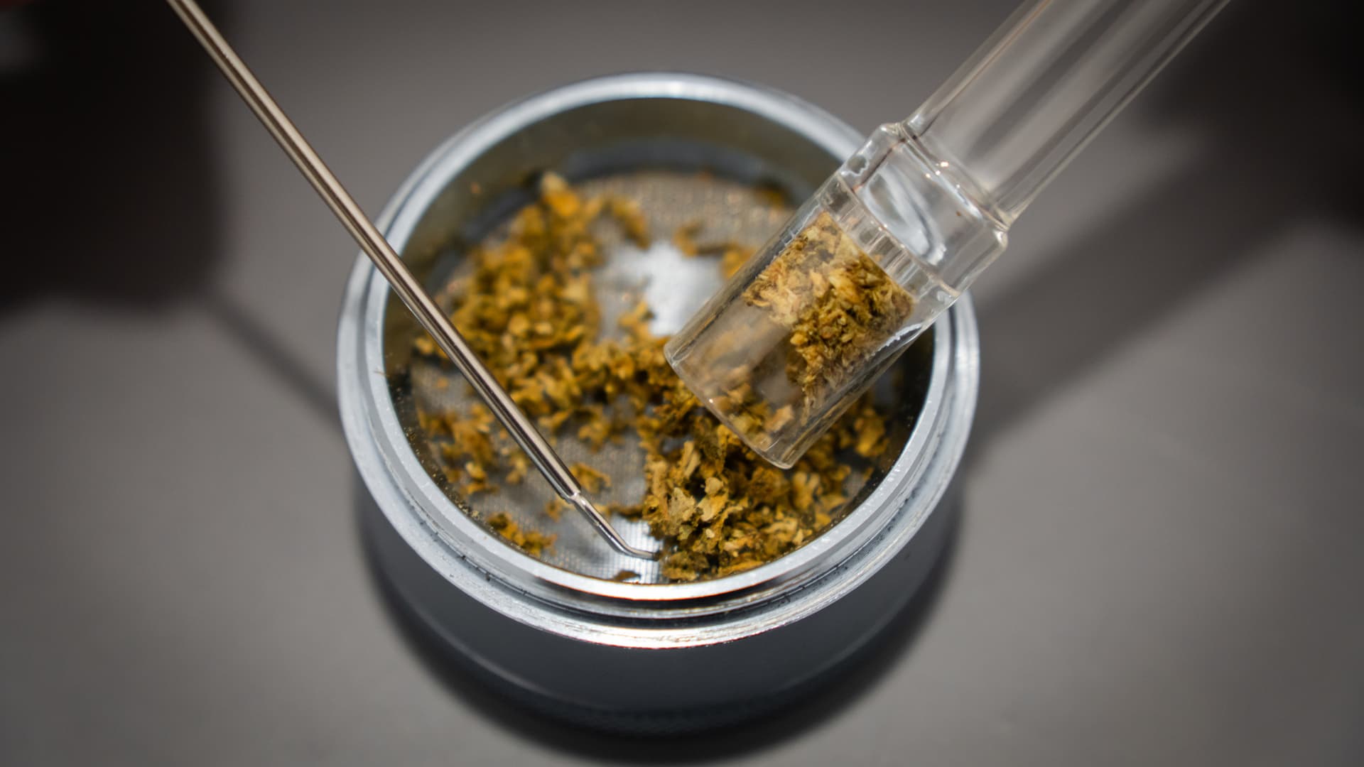 Gemahlenes Cannabis wird direkt aus dem Grinder in das Glas-Aromaröhrchen des Arizer Solo 3 gefüllt