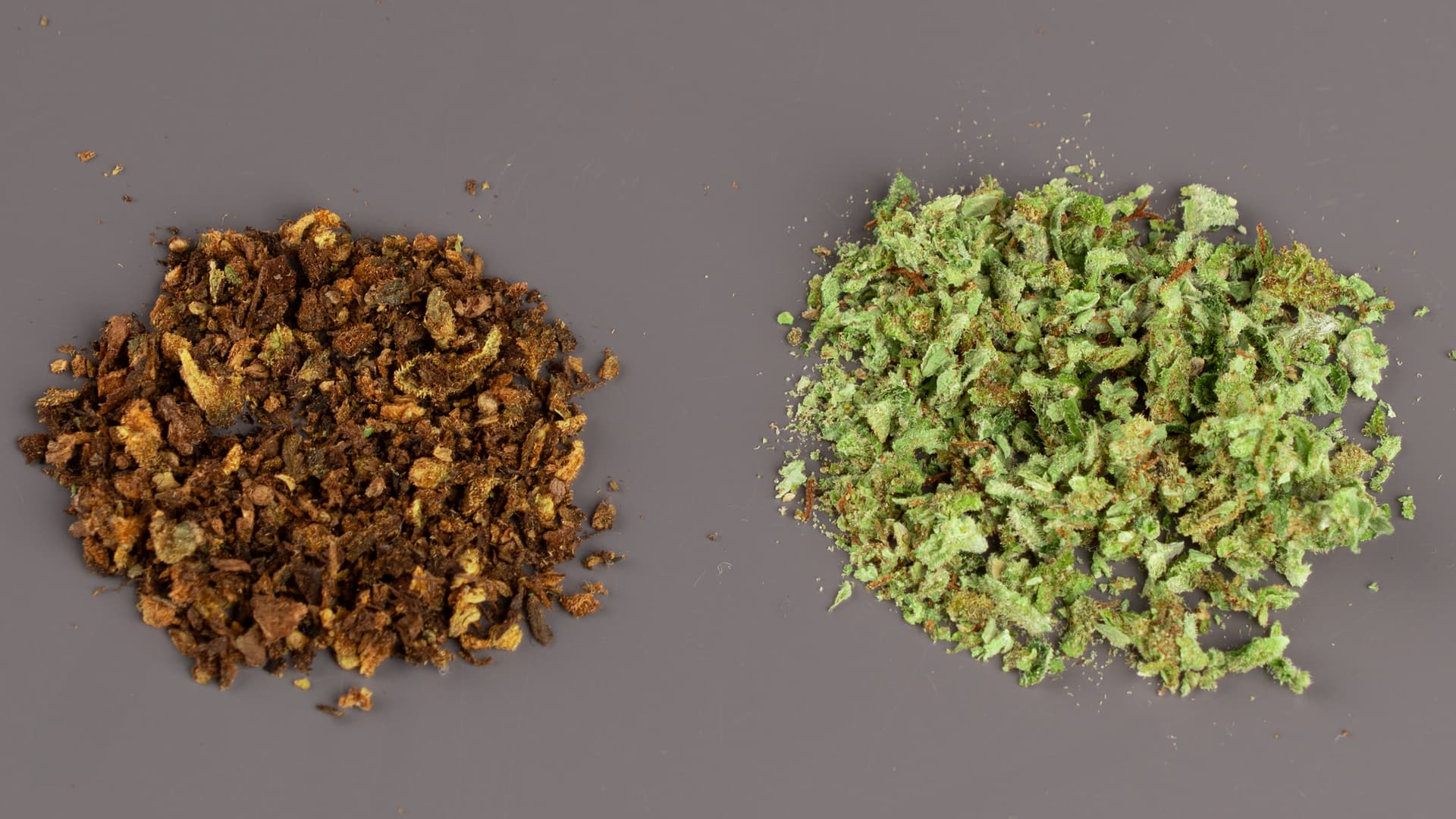 Side-by-side comparison of fresh green ground cannabis on the left and brown already vaped bud on the right