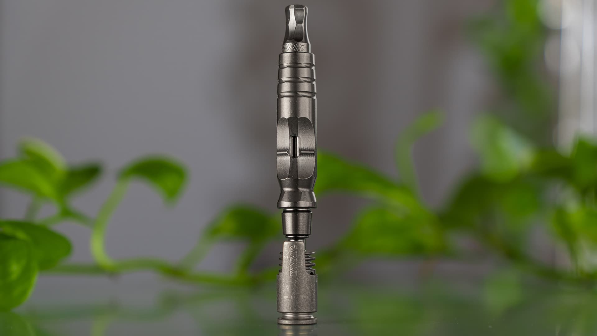 Reassembled HyperDyn standing upright in front of green leaves