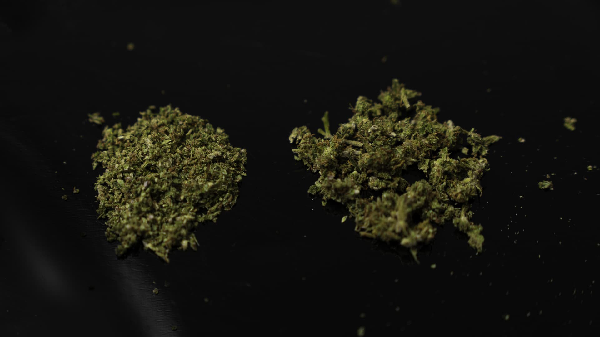 Two piles of ground cannabis side by side, one medium ground and one coarsely ground