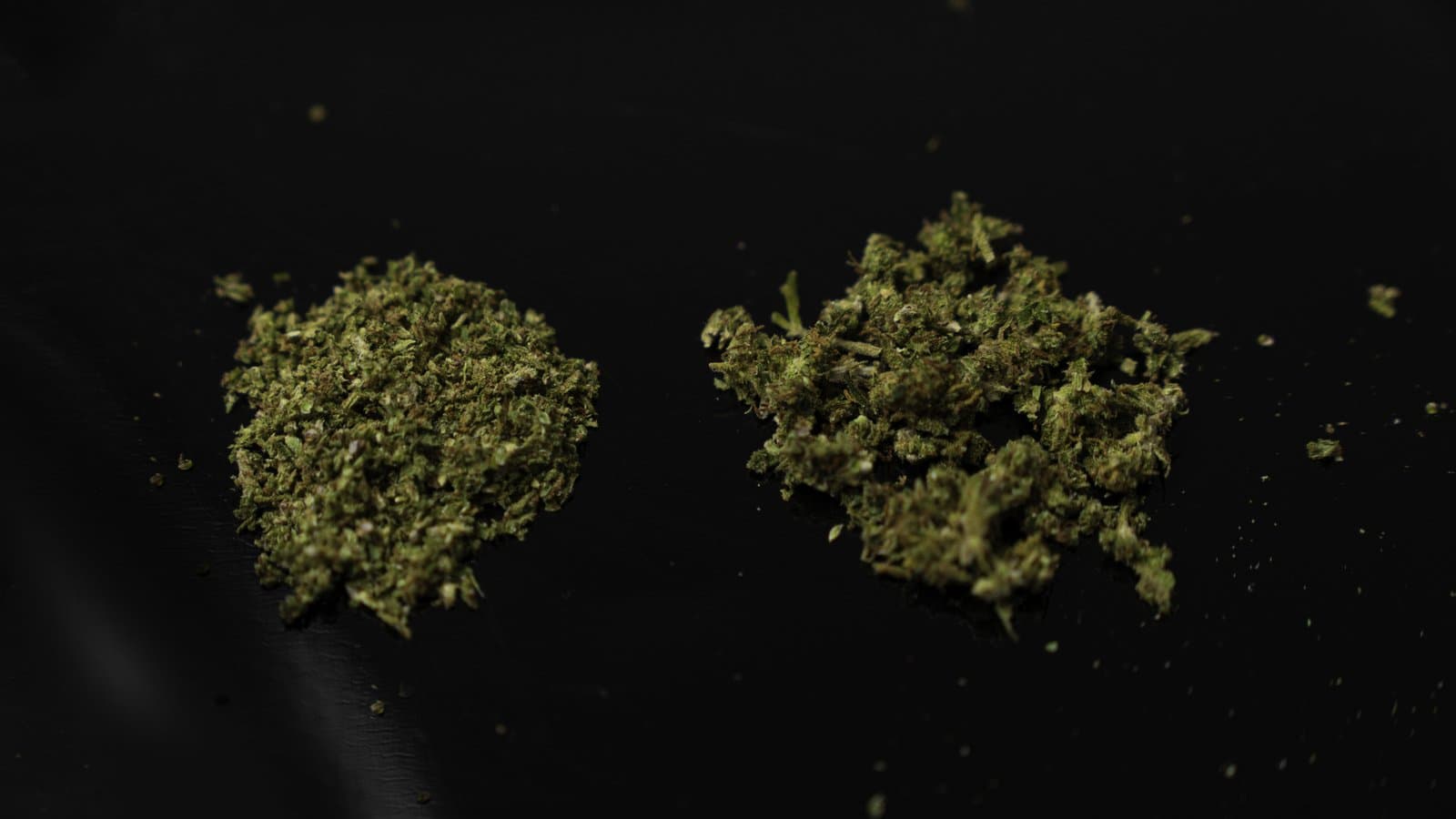 Zwei Häufchen gemahlenes Cannabis nebeneinander, eines feiner und eines gröber