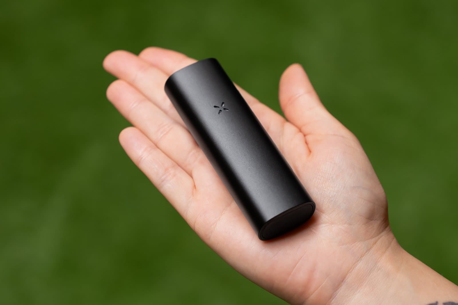 Schwarzer PAX Mini 2 liegt in einer offenen Handfläche vor grünem Laub