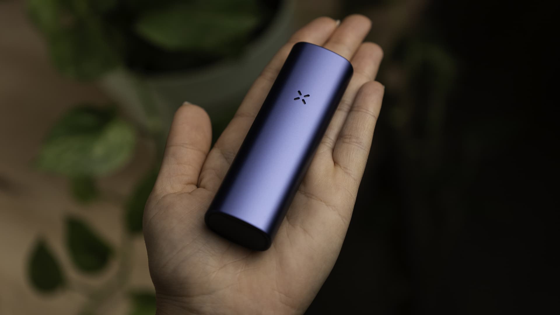 PAX Plus in Periwinkle liegt in einer offenen Handfläche und macht deutlich, wie kompakt der 93 g leichte Vaporizer ist