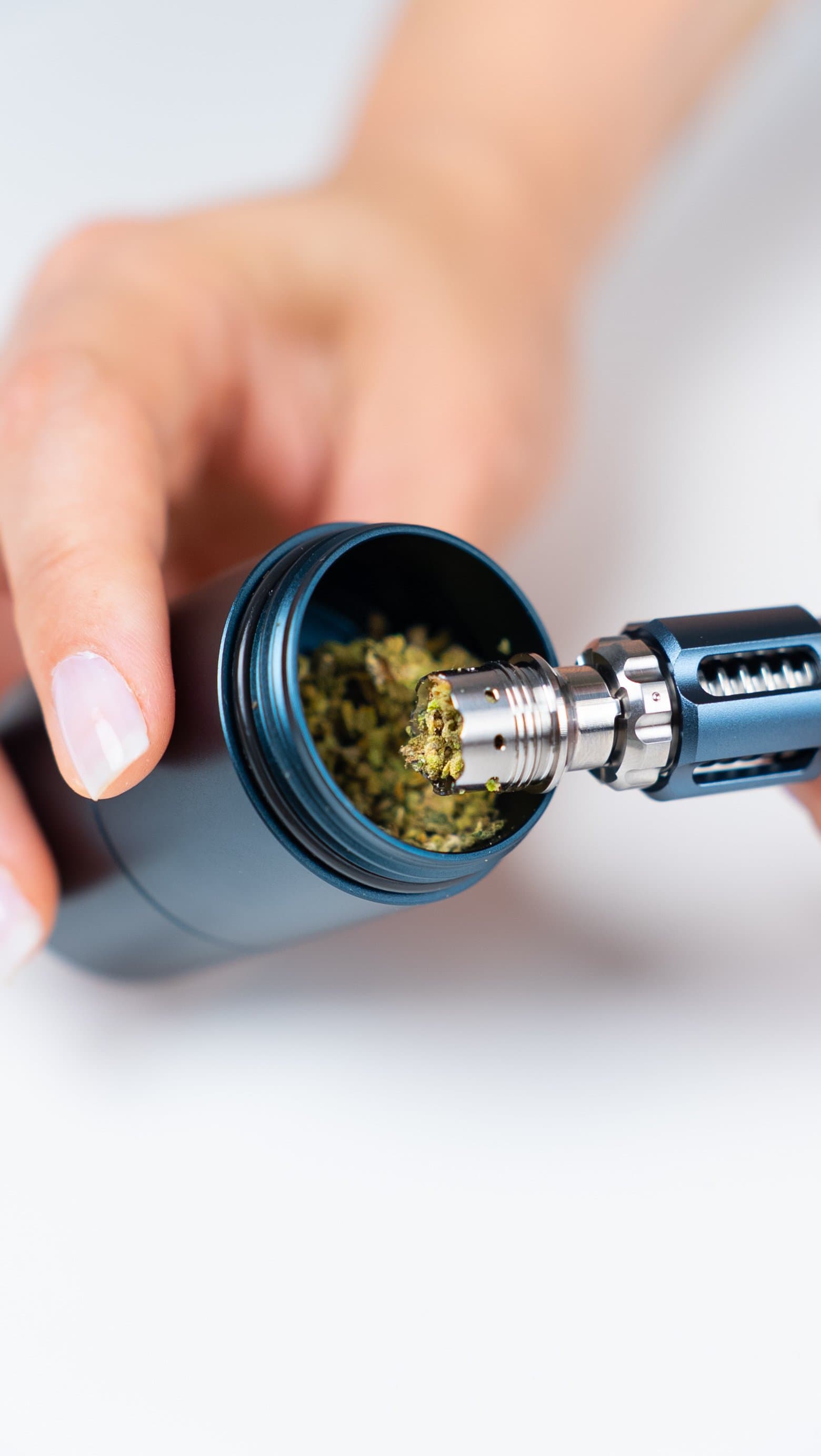 Hand füllt die offene Titan-Kammer des Tempest 2 mit gemahlenem Cannabis aus einem Behälter