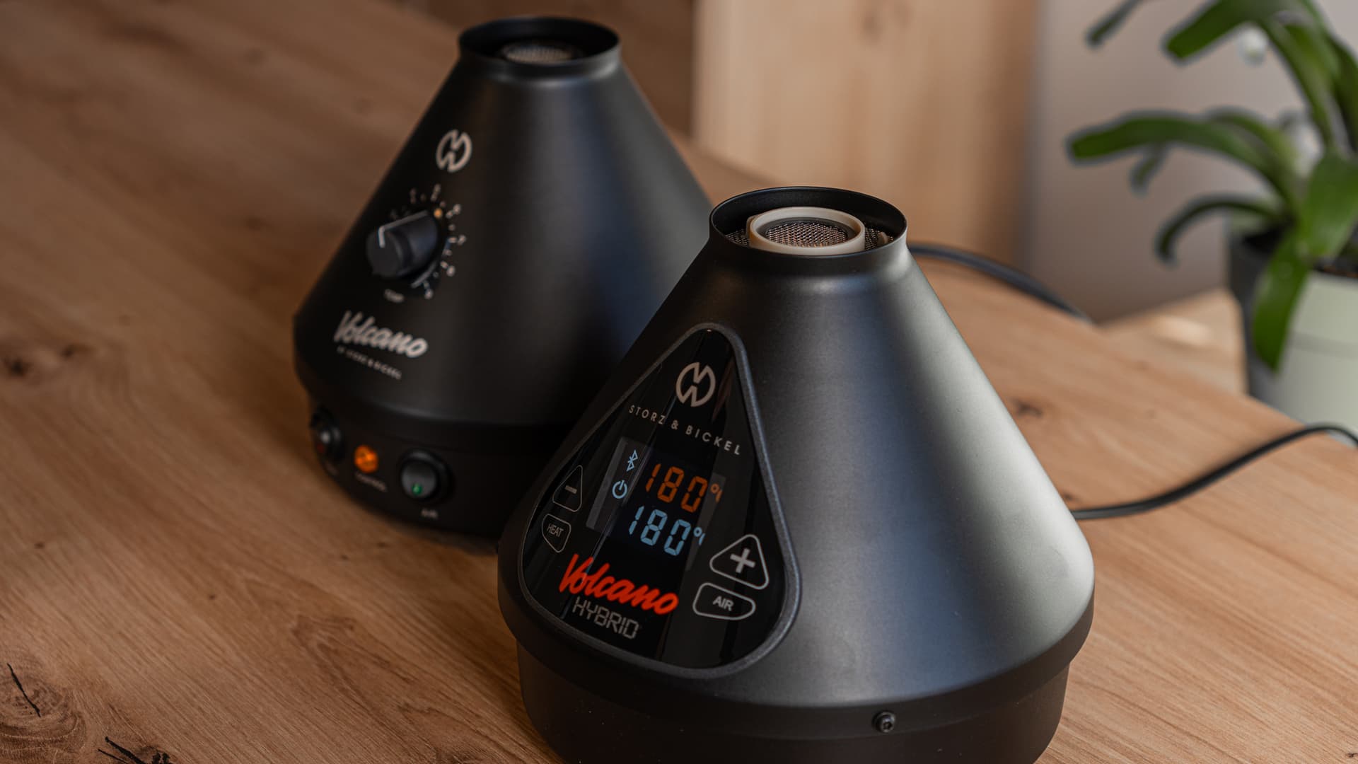 Two Storz & Bickel Volcano desktop vaporizers (the analog Classic and the digital Hybrid) sitting next to each other on a wooden table with a green plant softly out of focus in the background