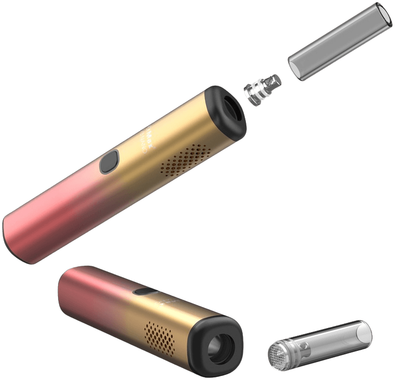 XMAX V3 Nano in gold/red gradient color showing exploded view with mouthpiece removed, oven visible, and glass stem separated
