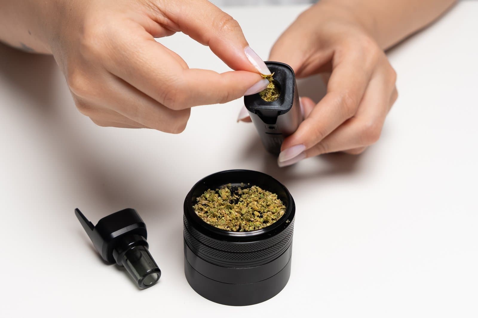 Kammer des XMax V4 Pro mit gemahlenem Cannabis befüllen, daneben ein geöffneter Grinder