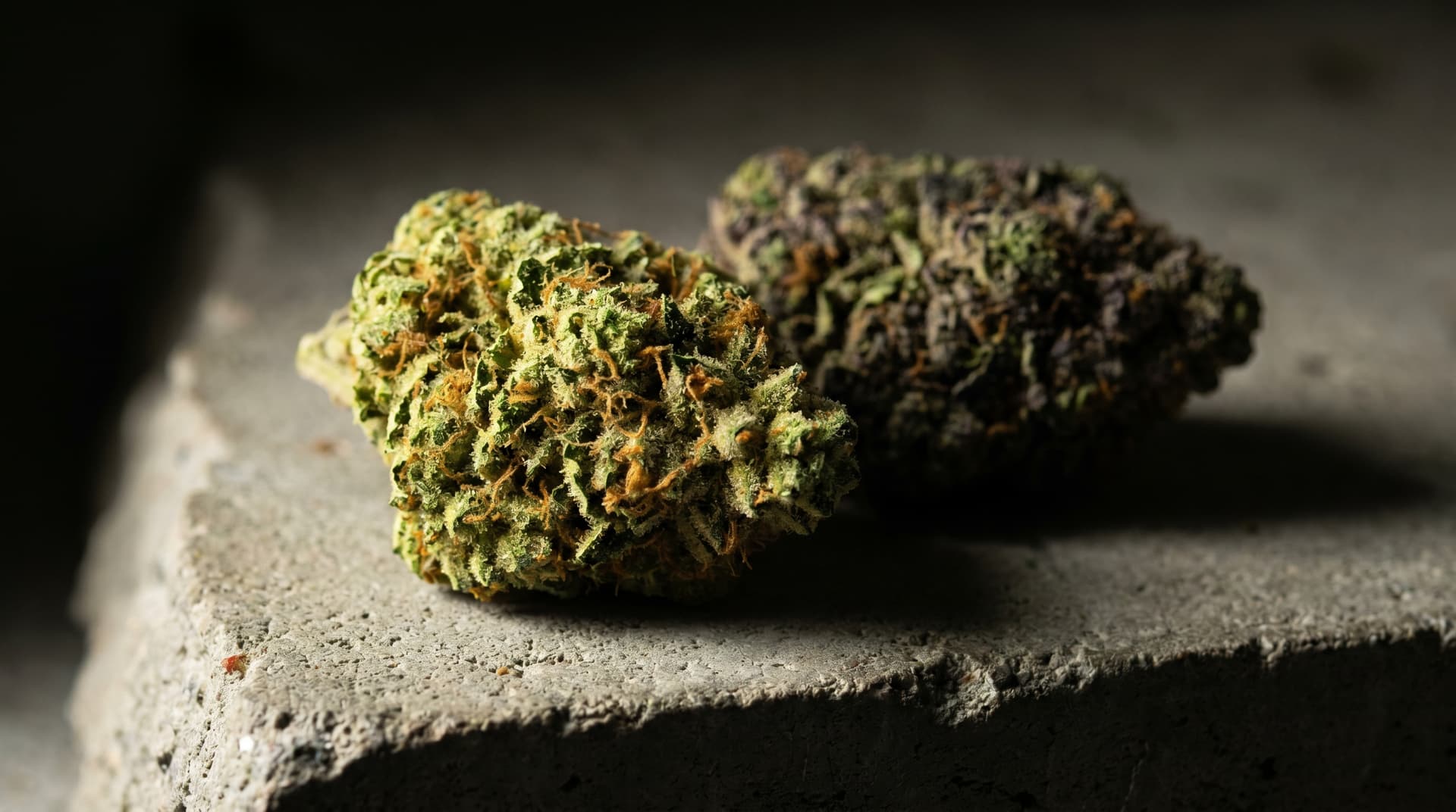 Overhead flat-lay of two cannabis buds side by side on a ceramic plate: one bright lime green with orange pistils, one deep forest green with prominent purple-blue tones