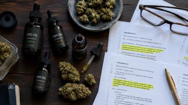 CBD oil bottles and cannabis flower buds arranged on a desk alongside highlighted legislative amendment papers. | Illustration: VapeExperts/AI