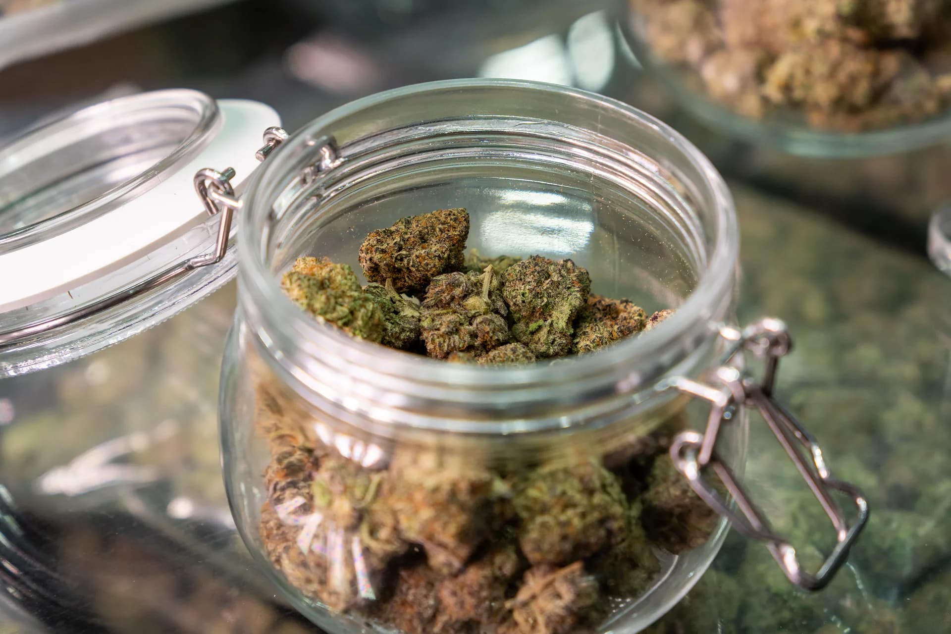 Cannabis buds displayed at a 2025 hemp expo. The 2026 harm study scored cannabis the lowest of all substances at 15 out of 100.
