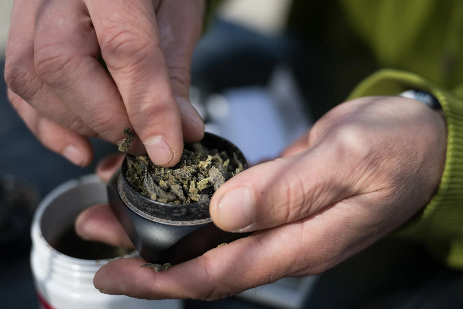 A man puts marijuana into a grinder to make a joint in Berlin, Wednesday, March 27, 2024.