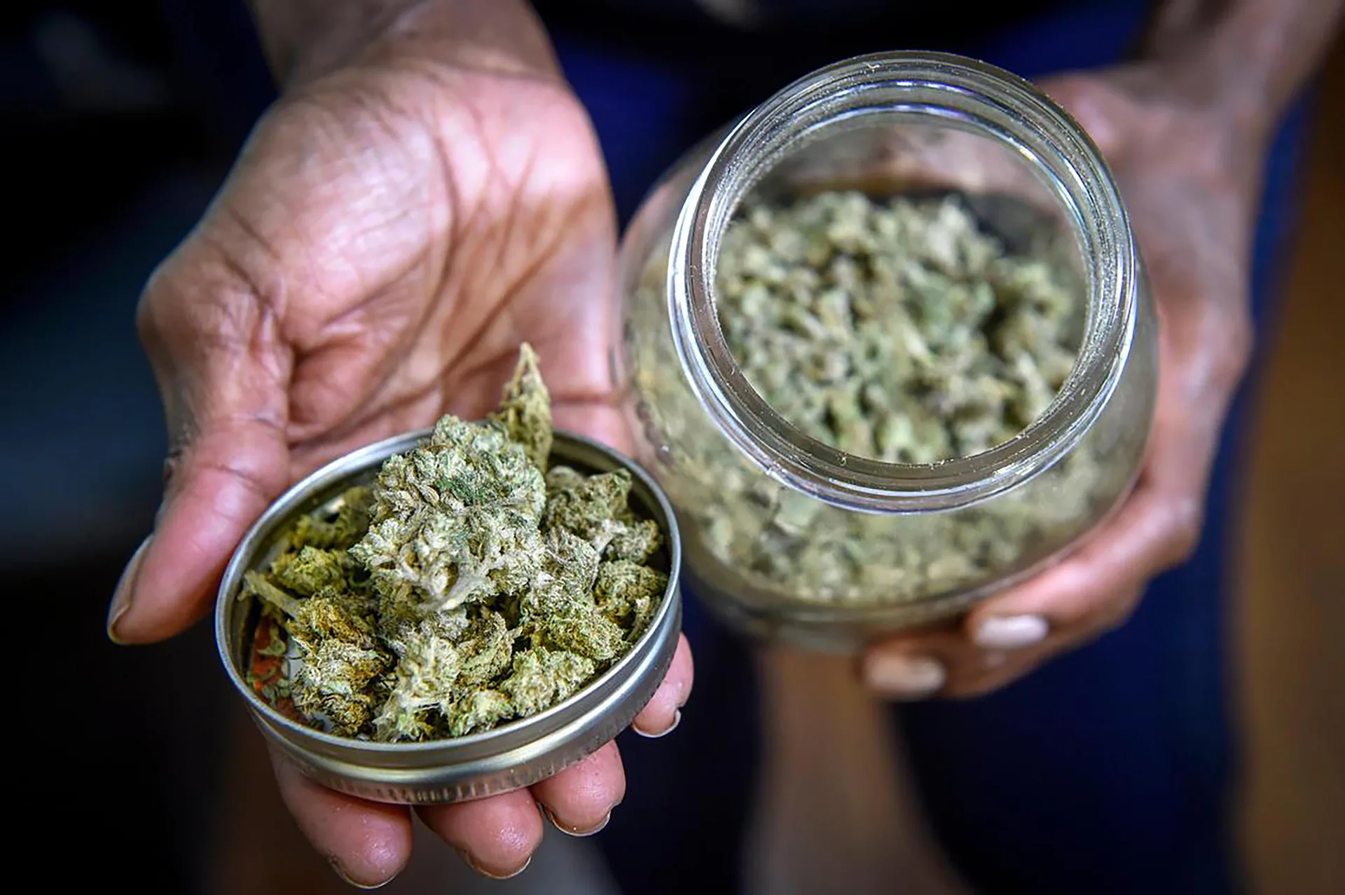 A worker tends cannabis plants at a Curaleaf growing facility in Litchfield, Illinois, August 2025.