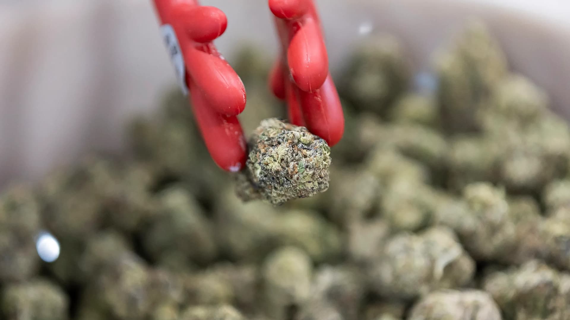 THCa products created by Havana Hemp are displayed during the CHAMPS Trade Show at the Broward County Convention Center on Thursday, Oct. 17, 2024, in Fort Lauderdale, Florida. Such hemp products are legal until heated, when THCA converts to THC. (Matias J. Ocner/Miami Herald/TNS/Newscom)