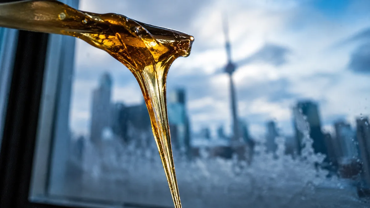 Macro shot of translucent golden cannabis concentrate stretching from a metal dab tool above a small silicone container, shallow depth of field.