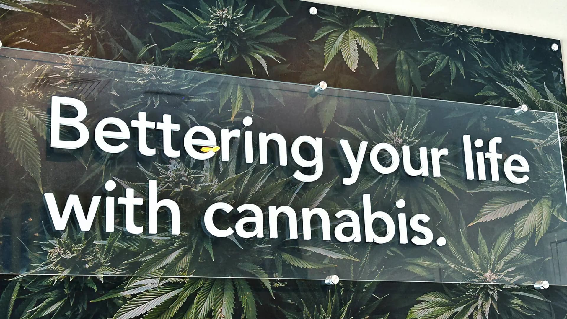 A sign reading "Bettering your life through Cannabis" stands outside a dispensary in Montclair, New Jersey. A witness for the anti-legalization group SAM reportedly conceded that cannabis fits Schedule III criteria. (Newscom)