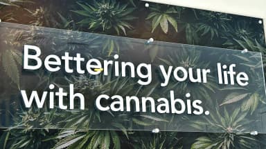 A sign reading "Bettering your life through Cannabis" stands outside a dispensary in Montclair, New Jersey. A witness for the anti-legalization group SAM reportedly conceded that cannabis fits Schedule III criteria. (Newscom)