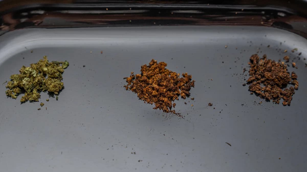 Three small piles of ground herb, ranging from green to light brown to dark brown, arranged in a row on a dark tray. | VapeExperts
