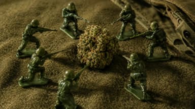 Green plastic toy soldiers with rifles aimed surround a single cannabis flower on an olive-drab wool blanket. (VapeExperts/AI)