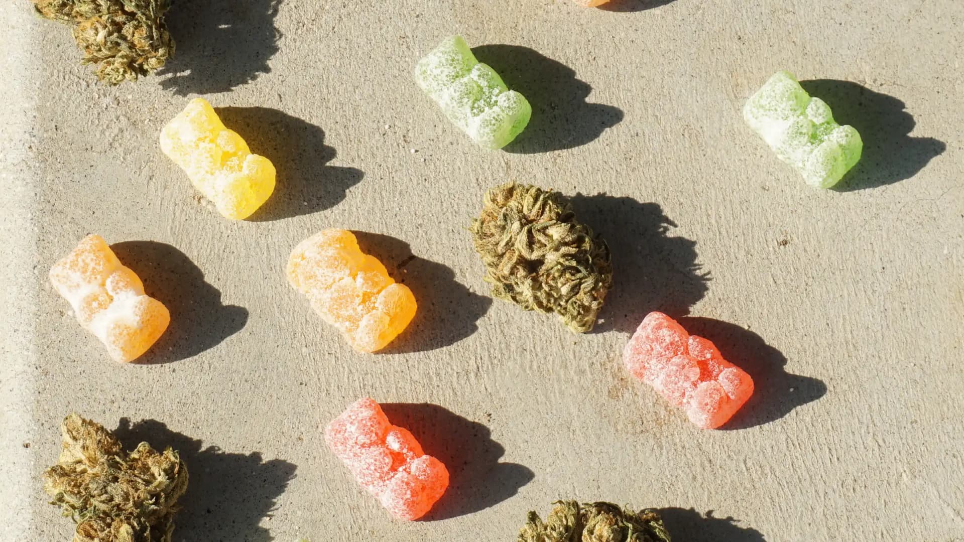 CBD gummy bears (elsaolofsson/Wikimedia Commons (CC BY 2.0))