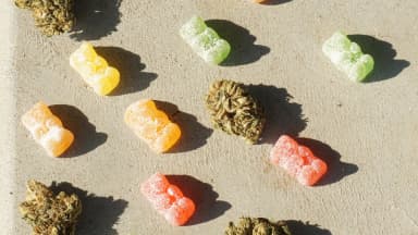 CBD gummy bears (elsaolofsson/Wikimedia Commons (CC BY 2.0))