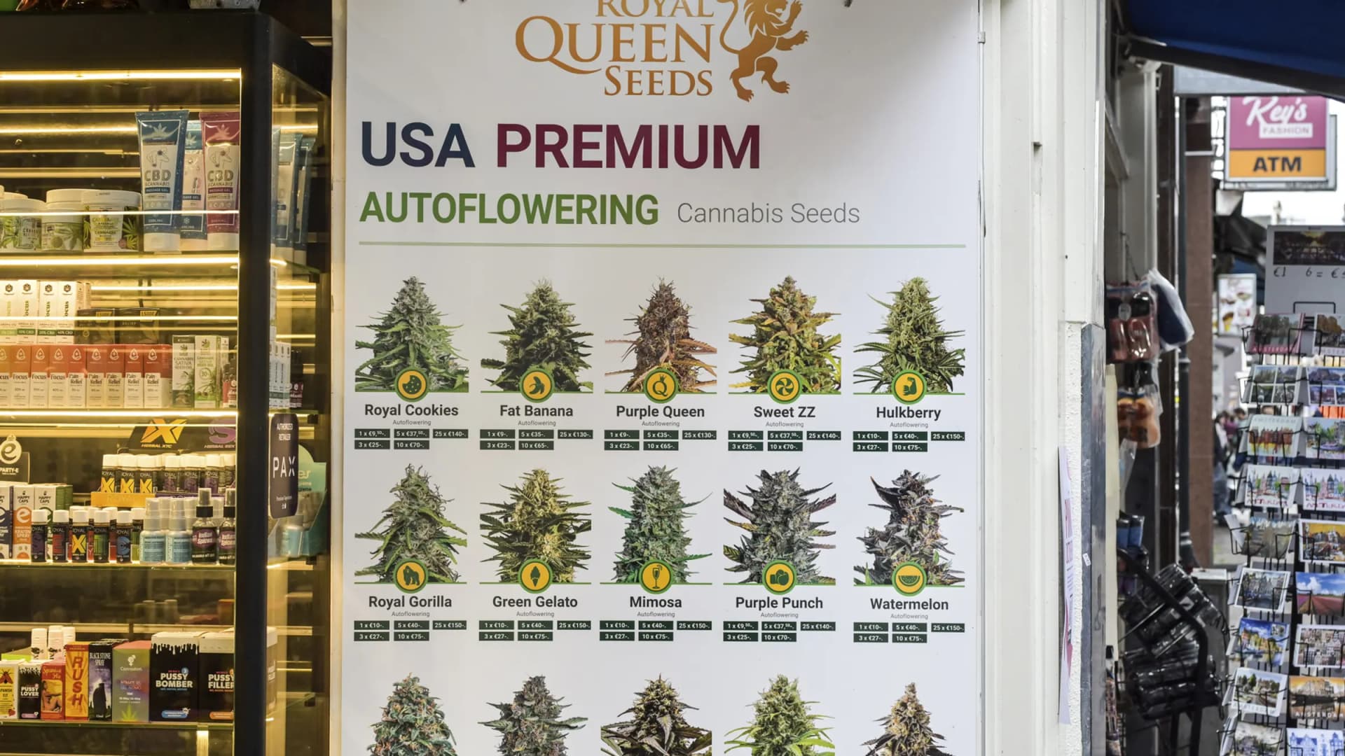 Cannabis seeds sit on display. A new hemp law taking effect Nov. 12 will reclassify most cannabis seeds. (imageBROKER/Joko/Newscom)