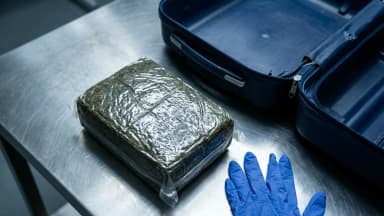 Thailand Fines Cannabis Mules as UK Seizures Hit 28 Tonnes