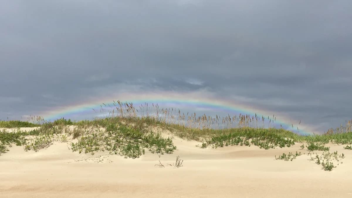 A rainbow stretches over a sandy dune topped with sea oats and green shrubs beneath dark gray clouds. | Cape Hatteras National Seashore/Wikimedia Commons (Public domain)