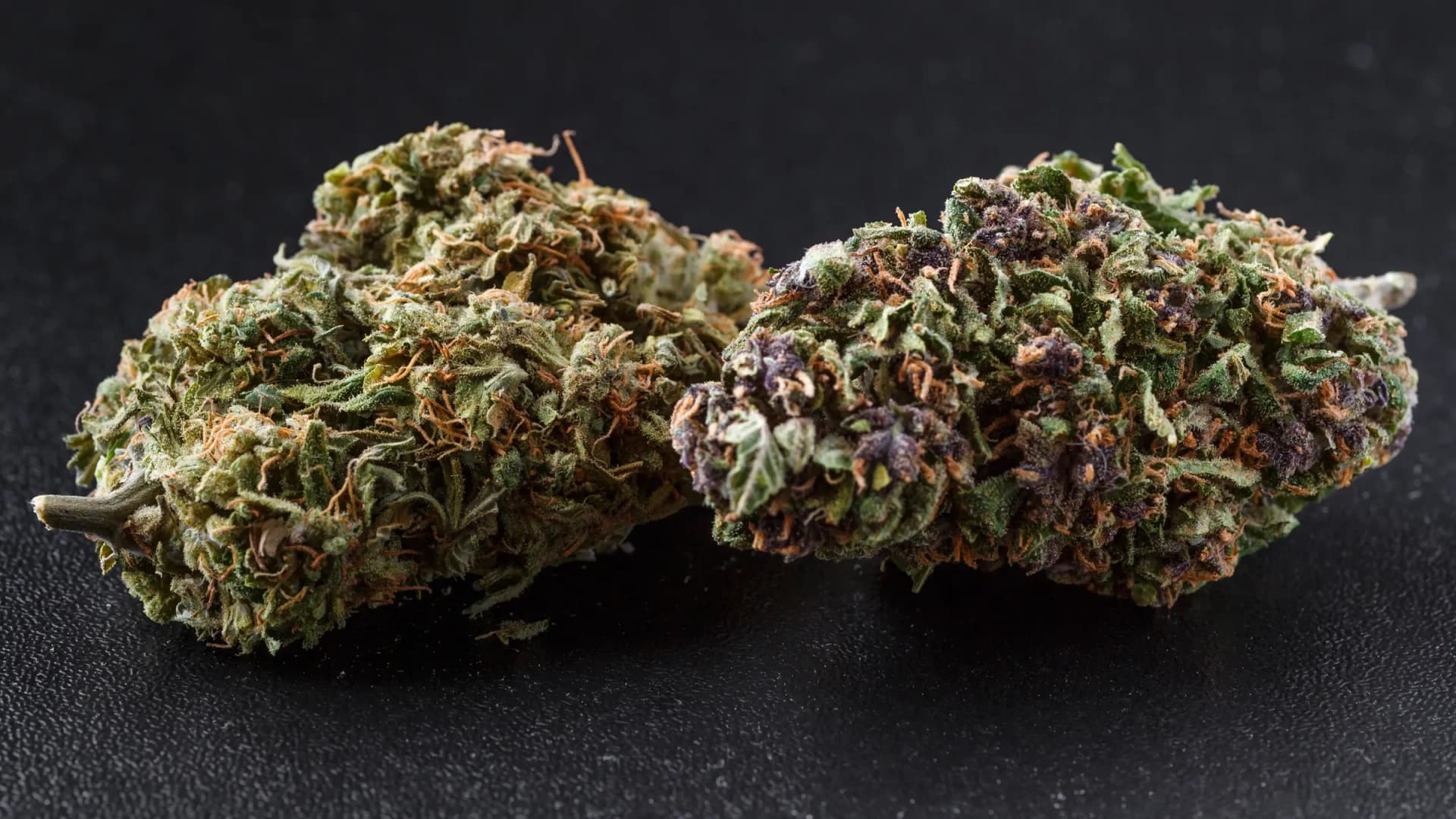 Indica vs. Sativa Labels Fail the DNA Test