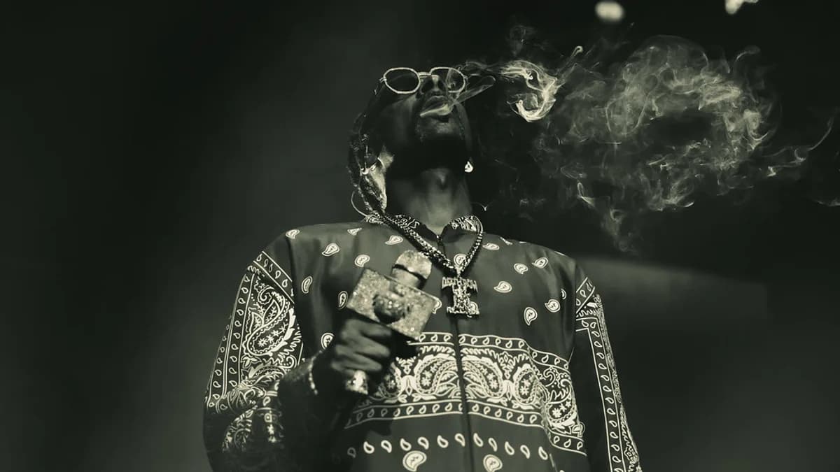 Snoop Dogg wearing sunglasses and a paisley shirt exhales smoke while holding a microphone onstage. | kingArthur_aus/Flickr (CC BY 2.0)