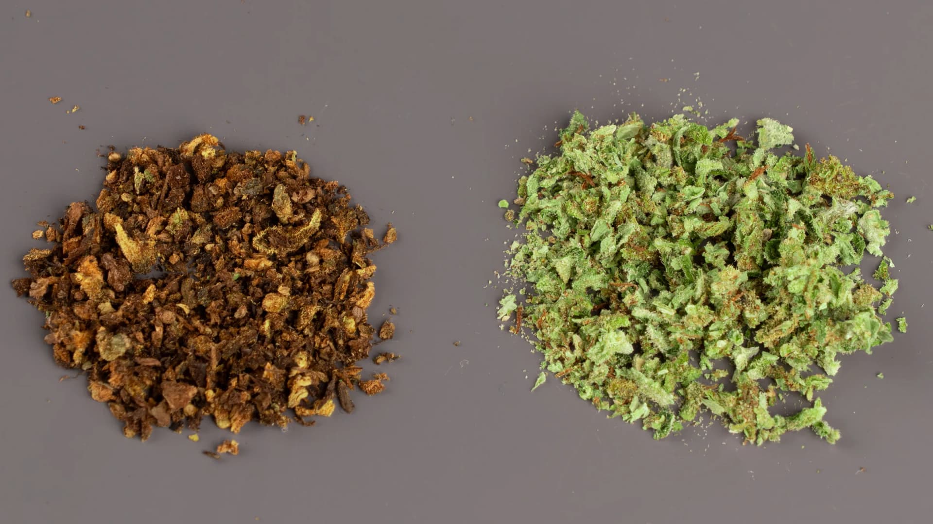 How Strong Is AVB? Start With One Small Capsule